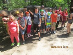 IMG_0319.JPG